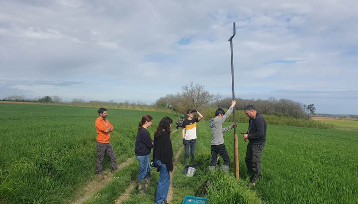 Des perchoirs pour les rapaces en Dordogne : un projet participatif